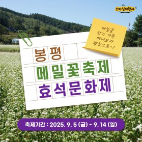 2025효석문화제 봉평메밀꽃축제 / 9만원~