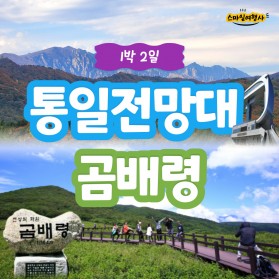 통일전망대 곰배령 1박2일 / 32만원