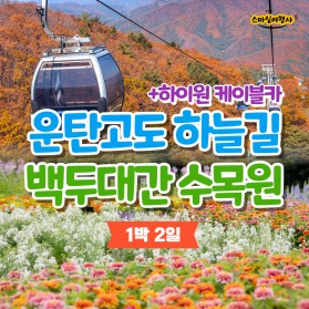 운탄고도 하늘길 백두대간수목원 / 28만원~