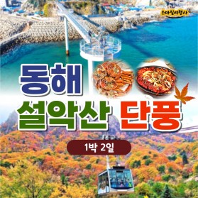 동해대게 설악산단풍 / 28만원부터~