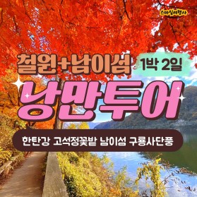 철원+남이섬 가을단풍 / 27만원부터~