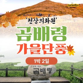 천상의화원 곰배령 가을단풍 / 27만원부터~