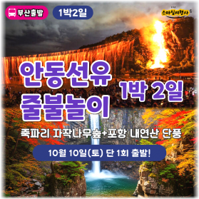 안동 선유줄불놀이 1박2일