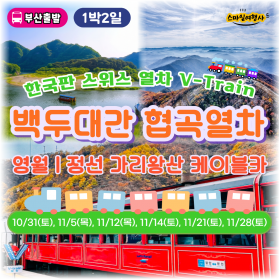 백두대간 협곡열차 1박2일 [영월 왕사남 + 정선 가리왕산 케이…